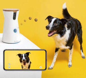 Las 5 mejores cámaras para comederos de mascotas con Wi-Fi que puedes comprar