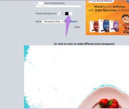 Cómo cambiar el color de fondo de una imagen a blanco con el editor en línea