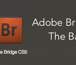 Edite fotos en Photoshop más rápido con Adobe Bridge