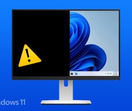 5 formas de solucionar el problema de que el monitor se vuelve negro de forma aleatoria en Windows 11